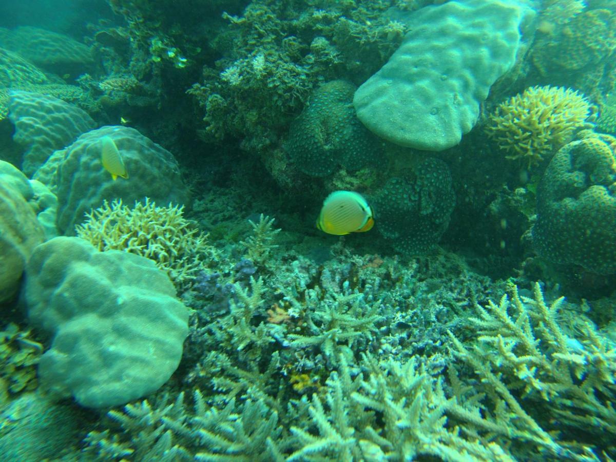Playa Encantada Beach Resort El Nido Ngoại thất bức ảnh